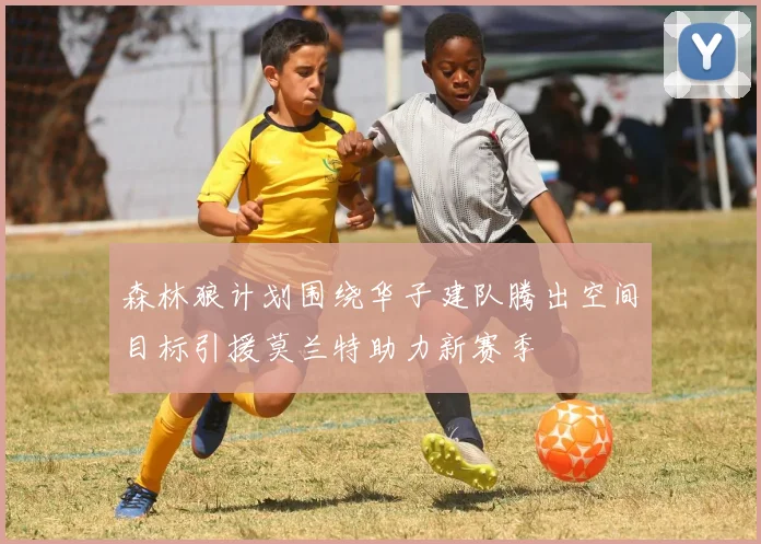森林狼计划围绕华子建队腾出空间目标引援莫兰特助力新赛季